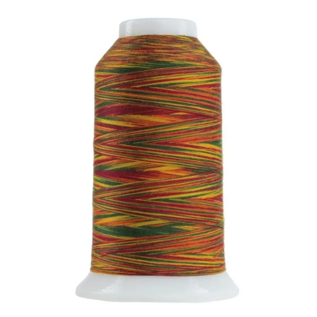 Variegated Polyester Quilting Thread Mix and Mingle