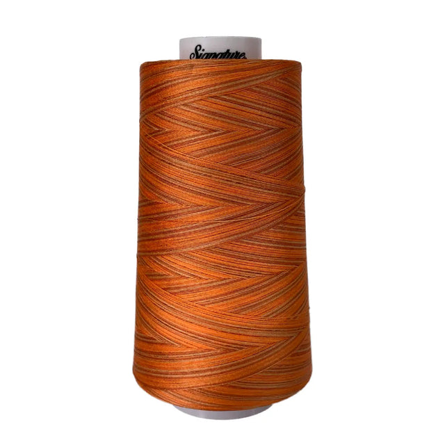 Cotton Variegated Thread Peachy Tones 3000 Yards