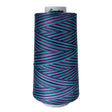 Cotton Variegated Thread Garden Signature