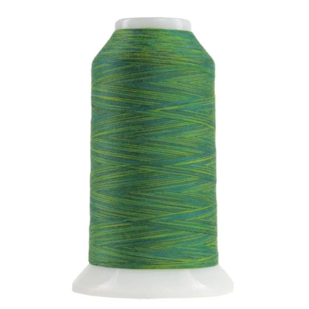 Variegated Polyester Quilting Thread Rolling Hills