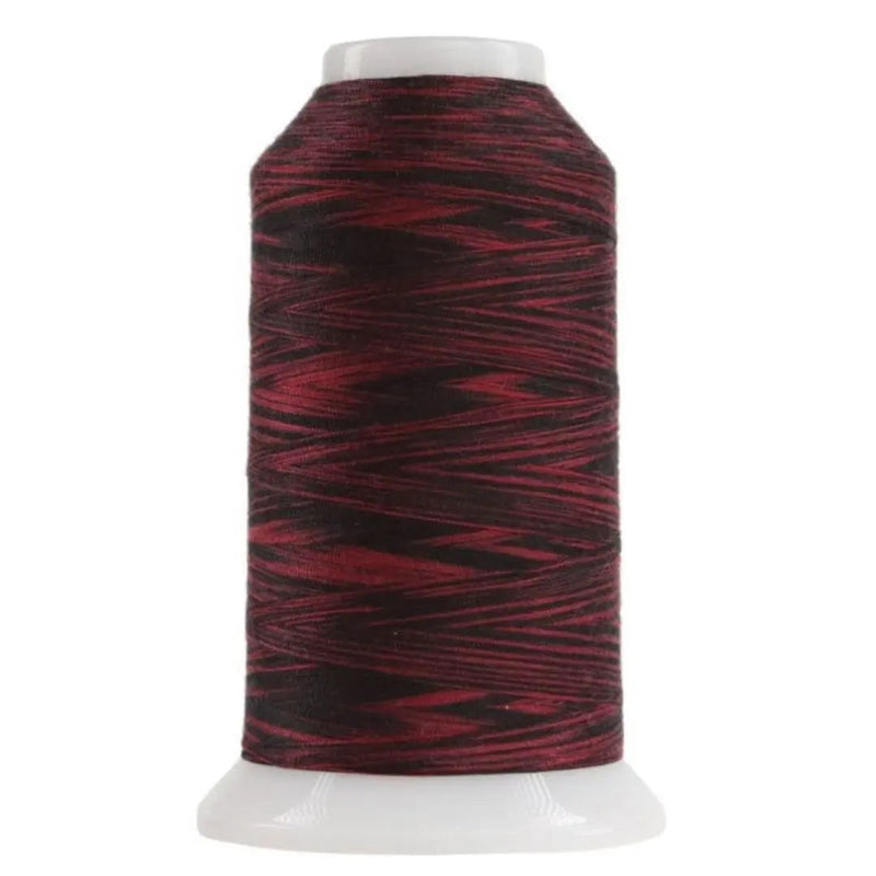 Polyester Quilting Thread Ladybug Variegated