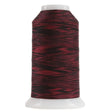 Polyester Quilting Thread Ladybug Variegated