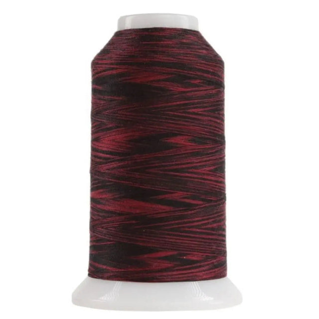 Polyester Quilting Thread Ladybug Variegated