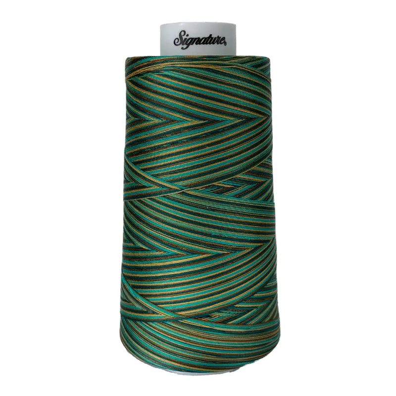 Cotton Variegated Thread Atlantis Signature