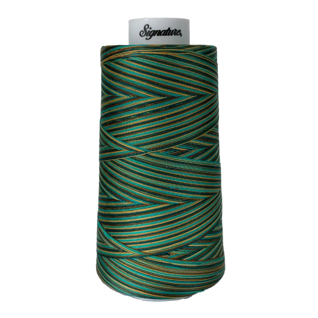 Cotton Variegated Thread Atlantis Signature