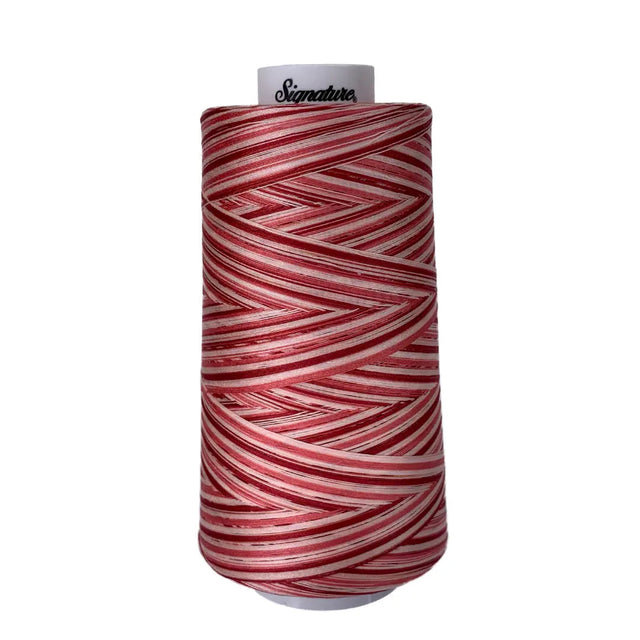 Cotton Variegated Thread Strawberry Shortcake