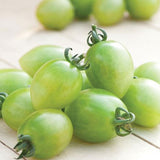 Sungreen Cherry Tomato Seeds 20 Seeds Organic Unique Green Cherry Tomato Variety