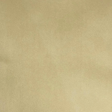 Varro Solid Velvet Polyester Fabric - Solid Velvet, 55" Width (1 Yard)