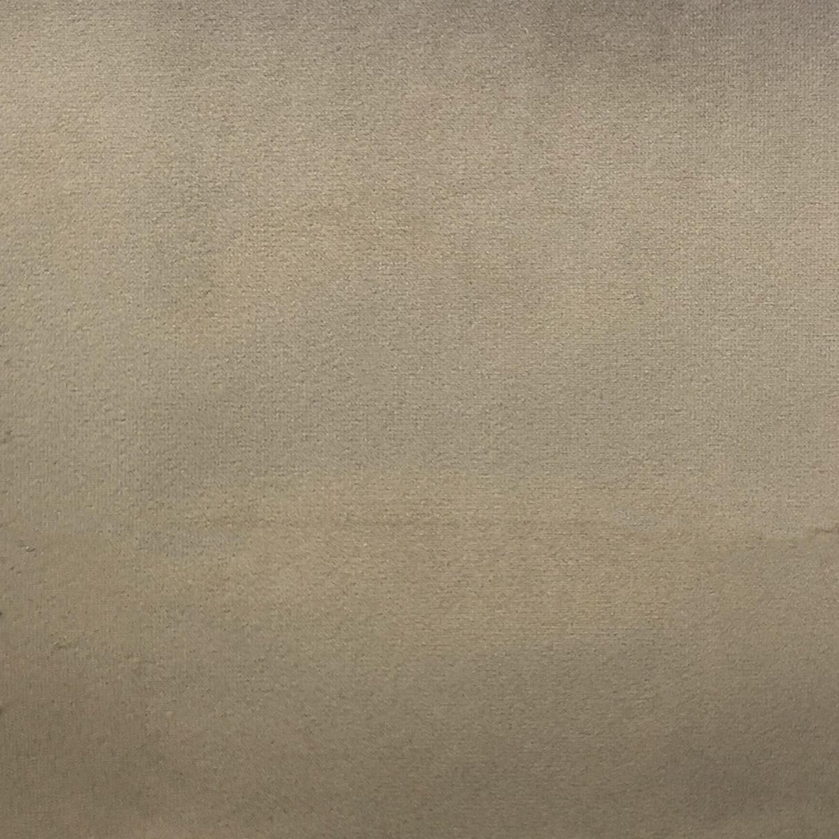 Velluto Solid Velvet Fabric - Solid Velvet, 57" Width (1 Yard)
