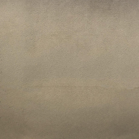 Velluto Solid Velvet Fabric - Solid Velvet, 57" Width (1 Yard)