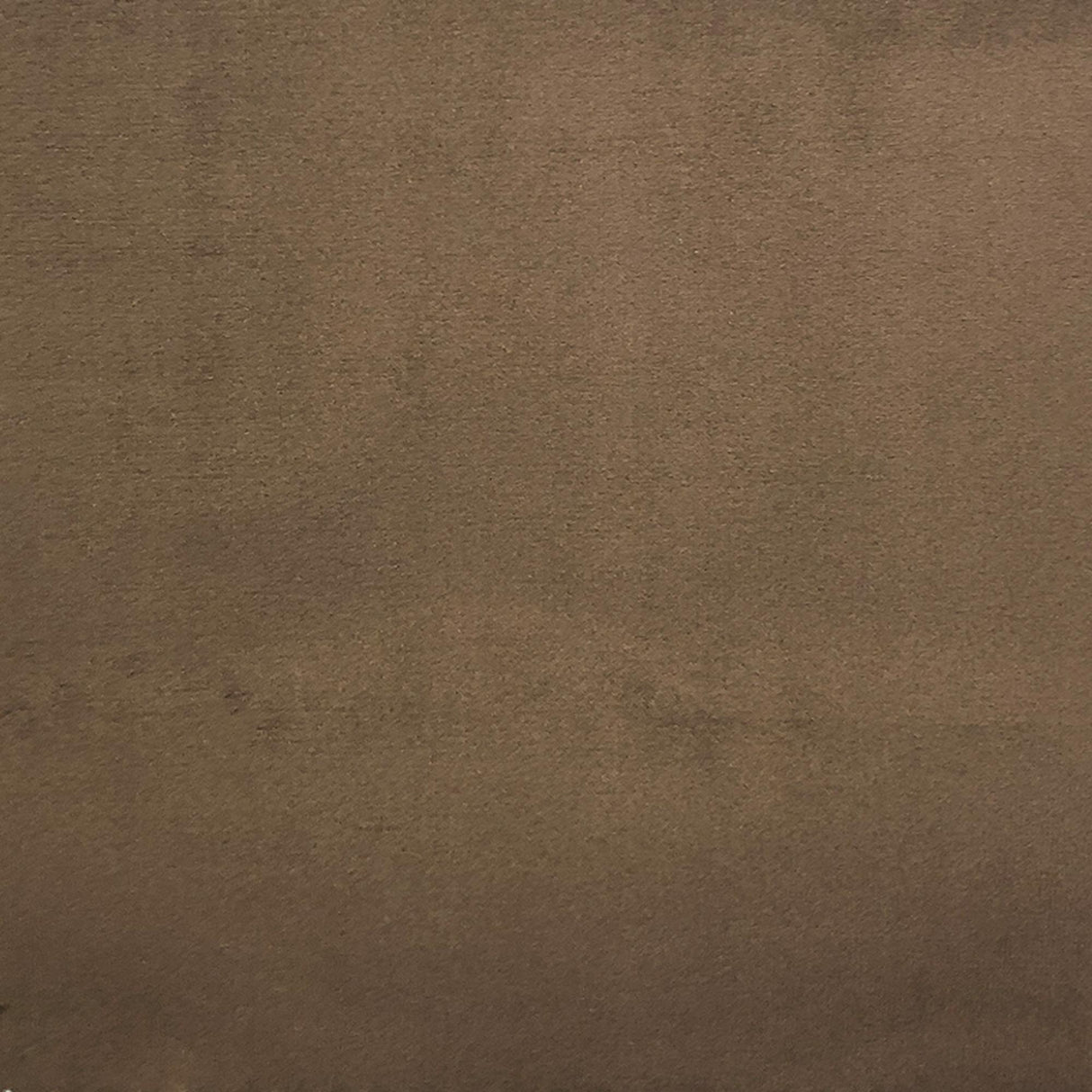 Velluto Solid Velvet Fabric - Solid Velvet, 57" Width (1 Yard)