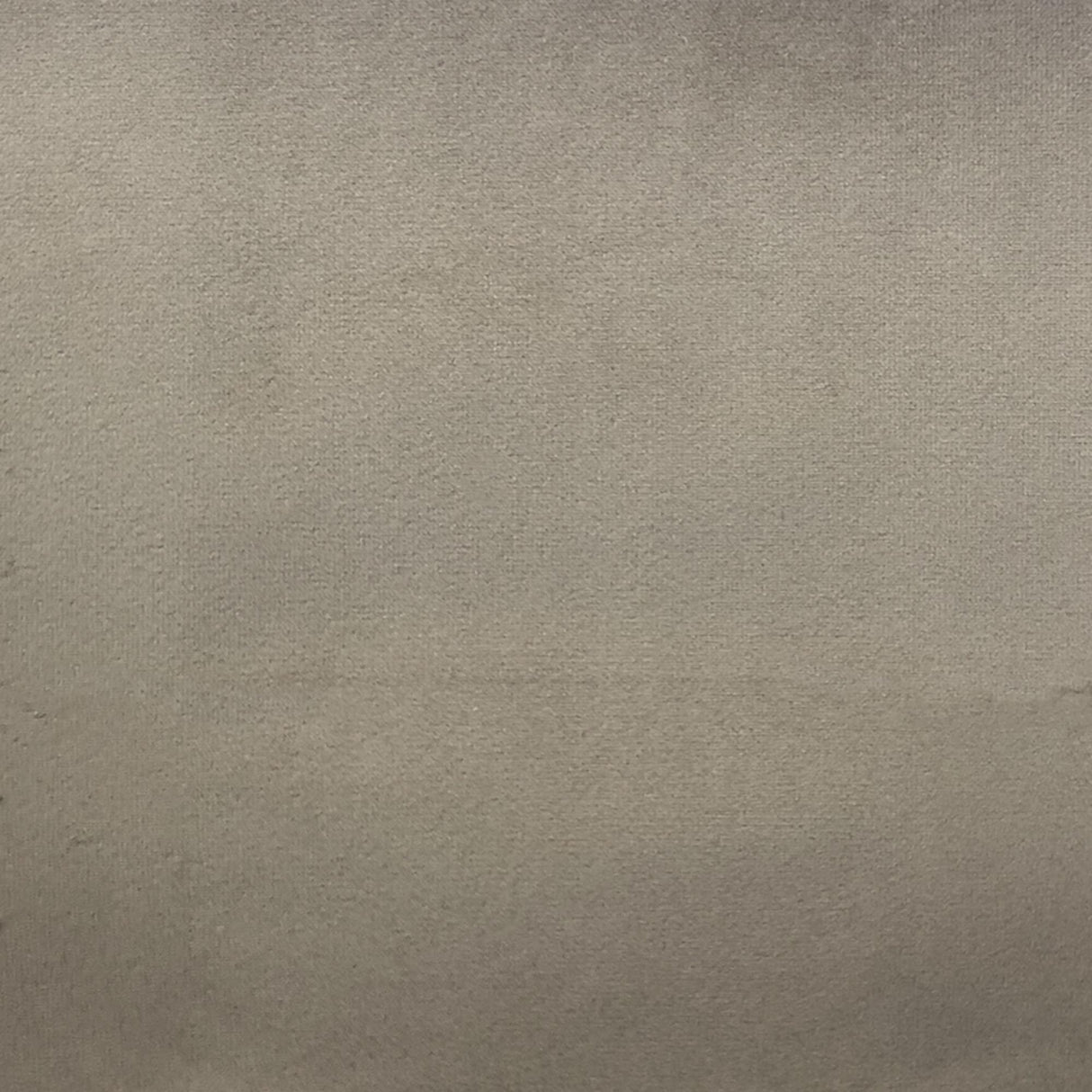 Velluto Solid Velvet Fabric - Solid Velvet, 57" Width (1 Yard)