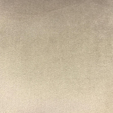 Velluto Solid Velvet Fabric - Solid Velvet, 57" Width (1 Yard)