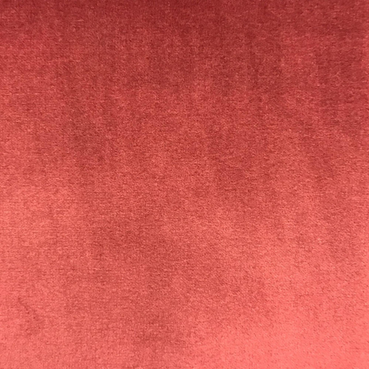 Velluto Solid Velvet Fabric - Solid Velvet, 57" Width (1 Yard)