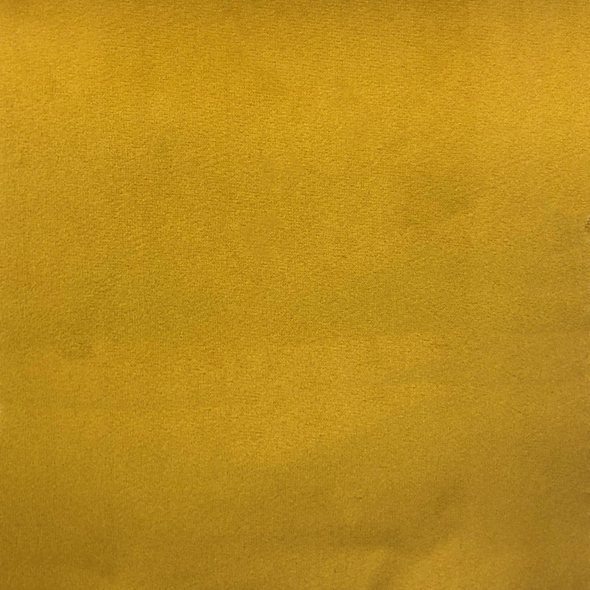 Velluto Solid Velvet Fabric - Solid Velvet, 57" Width (1 Yard)