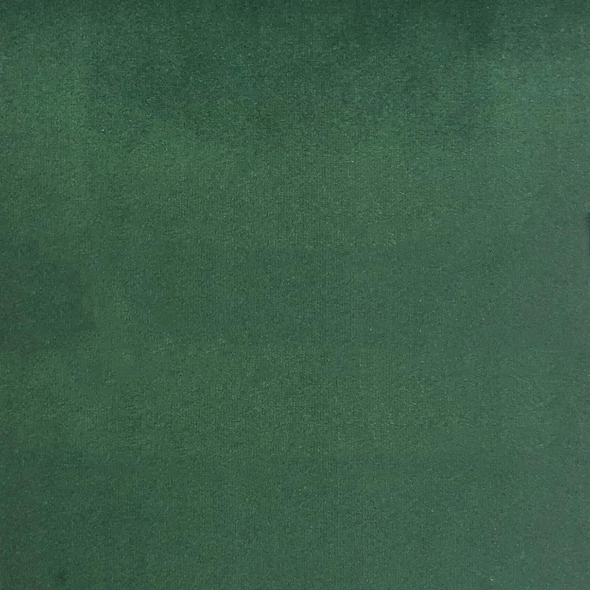 Velluto Solid Velvet Fabric - Solid Velvet, 57" Width (1 Yard)