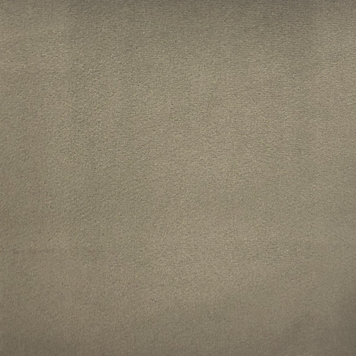 Velluto Solid Velvet Fabric - Solid Velvet, 57" Width (1 Yard)