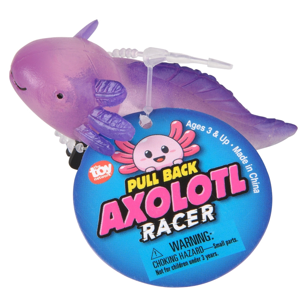 Pull Back Axolotl Toy (24 Ct Display)