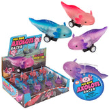 Pull Back Axolotl Toy (24 Ct Display)