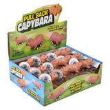 Pullback Capybara Toy (1 DSP)