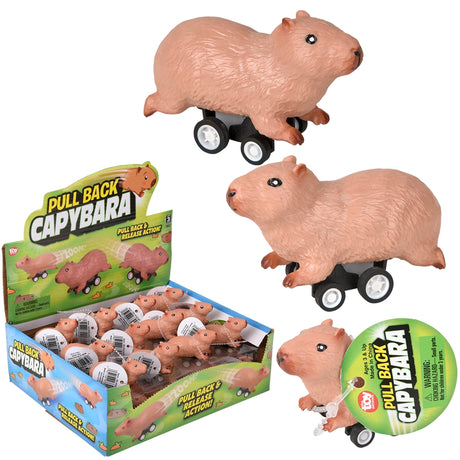Pullback Capybara Toy (1 DSP)