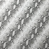 Venom Clear Dot Nylon Spandex Fabric - Multiple Colors Snakeskin Print, 58/60" Width (1 Yard)