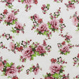 Swim Knit Blush Vintage Roses on Ivory
