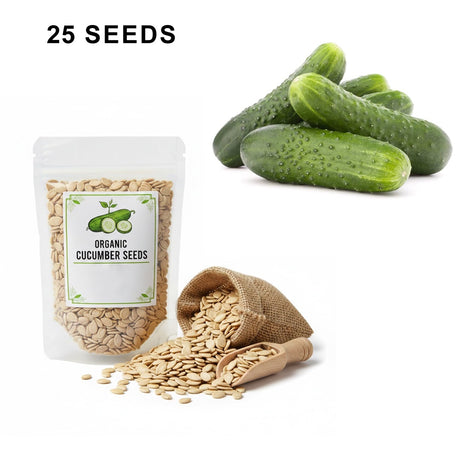 SMR 58 Cucumber Seeds Non GMO Vigorous Standard Pickling Cucumber Country Creek Acres