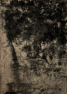 Brisa Shag Viscose Polyester Fabric - Walnut Shag, 2" Pile Height, Indoor Use Only (7'6" X 10'3")