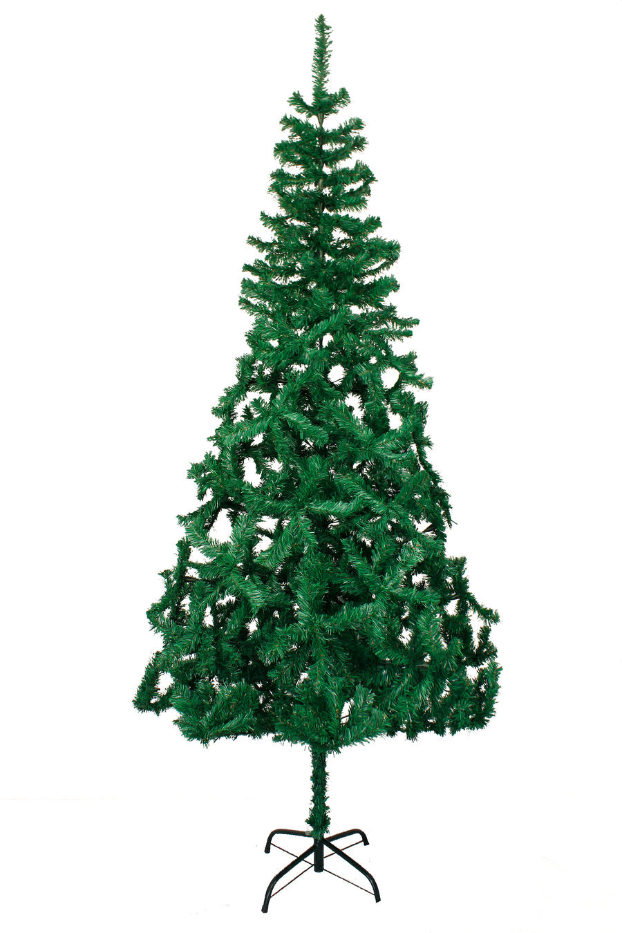 Classic Canadian Pine Tree