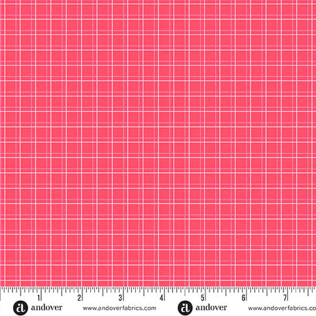 Cotton Print Watermelon Parallel Play Fabric 44/45"