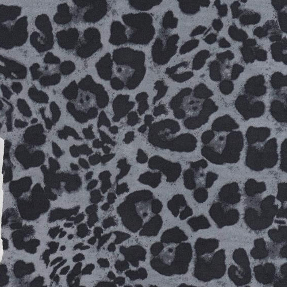 Leopard Digital Print Stretch Knit Fabric 58/60" Wide – 180 GSM