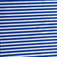 Swim Knit Nylon Spandex Cobalt Blue and White 1/4" Stripe
