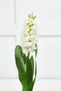 17" Hyacinth Spray