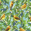 Quilting Cotton Winter Visitors Cedarwax Robert Kaufman