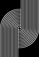 Z330B Polyester Fabric - Black White Geometric Circle Design, Soft Touch (1 Rug)
