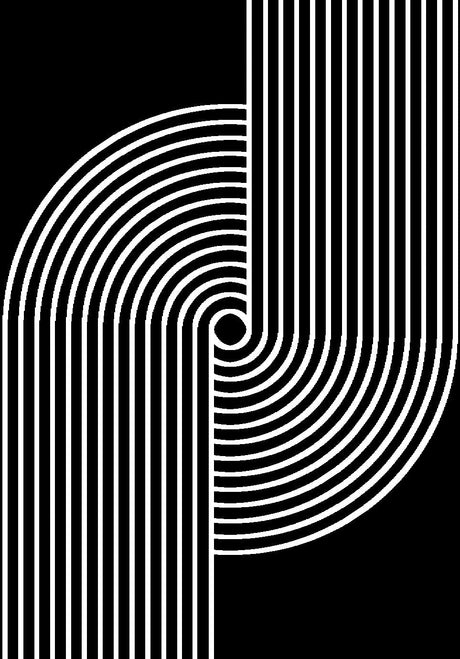 Z330B Polyester Fabric - Black White Geometric Circle Design, Soft Touch (1 Rug)