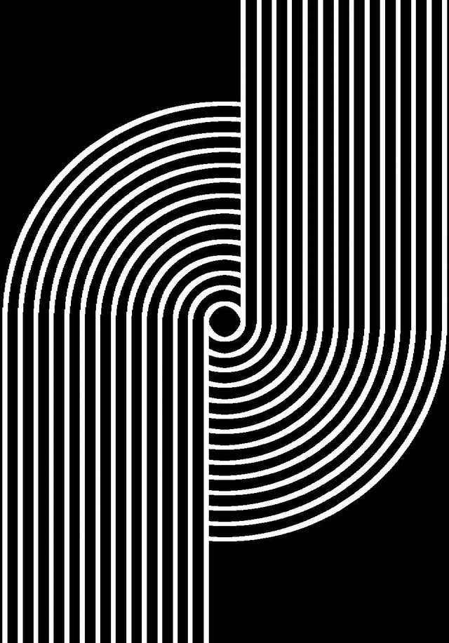 Z330B Polyester Fabric - Black White Geometric Circle Design, Soft Touch (1 Rug)