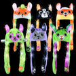 Halloween Dog Light-Up Hat