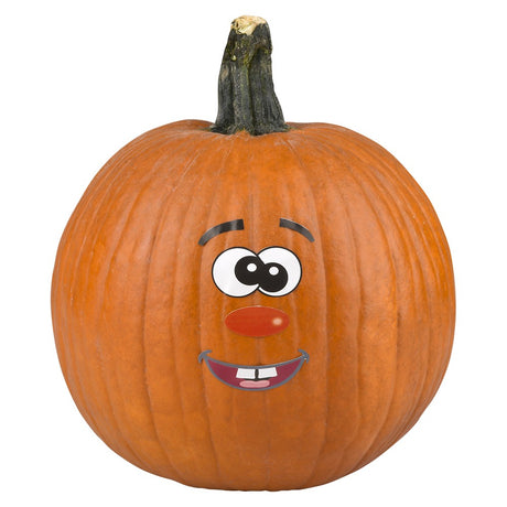 Jack-O-Lantern Stickers for Pumpkins (1 DZ)