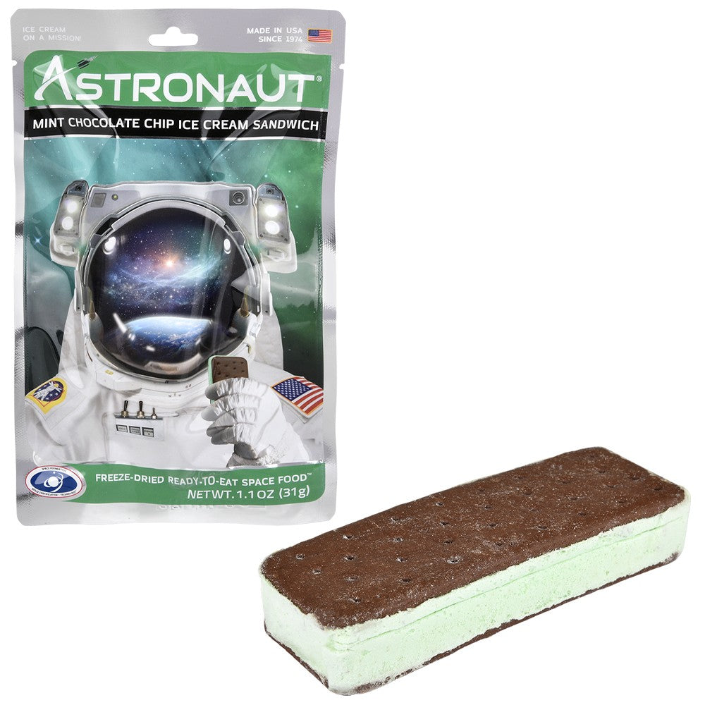Astronaut Mint Chocolate Chip Ice Cream Sandwich
