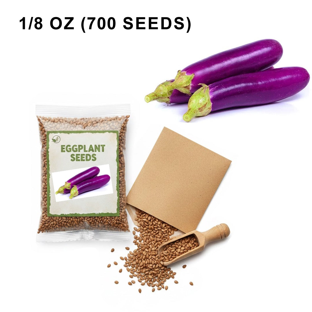 Long Purple Eggplant Seeds Heirloom Organic High Yield Garden Variety