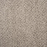 Embossed Velvet Upholstery Fabric by the Yard