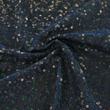 Sequin Spandex Fabric