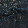 Sequin Spandex Fabric