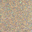 Zsa Spa Polyester Spandex Sequin Fabric - Embroidered Holographic Sequins, 50" Width (1 Yard)