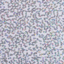 Zsa Spa Polyester Spandex Sequin Fabric - Embroidered Holographic Sequins, 50" Width (1 Yard)