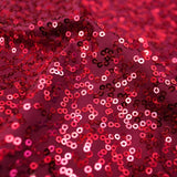 Zsa Zsa Polyester Spandex Sequin Fabric - Embroidered Sequins, 50" Width, 2-Way Stretch (1 Yard)