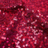 Zsa Zsa Polyester Spandex Sequin Fabric - Embroidered Sequins, 50" Width, 2-Way Stretch (1 Yard)