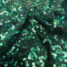 Spandex Sequin Fabric
